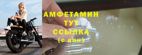 шишки Белокуриха